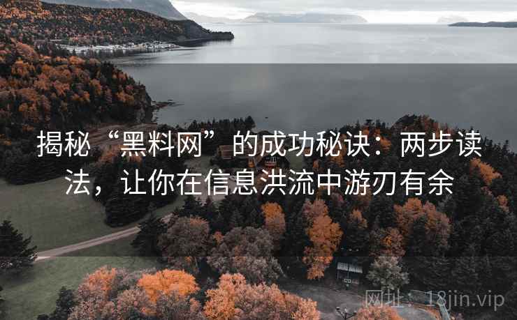揭秘“黑料网”的成功秘诀:两步读法,让你在信息洪流中游刃有余