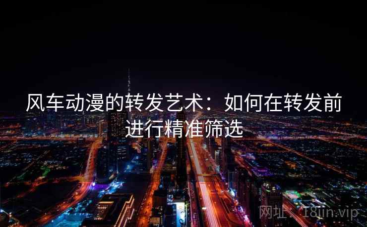 风车动漫的转发艺术：如何在转发前进行精准筛选